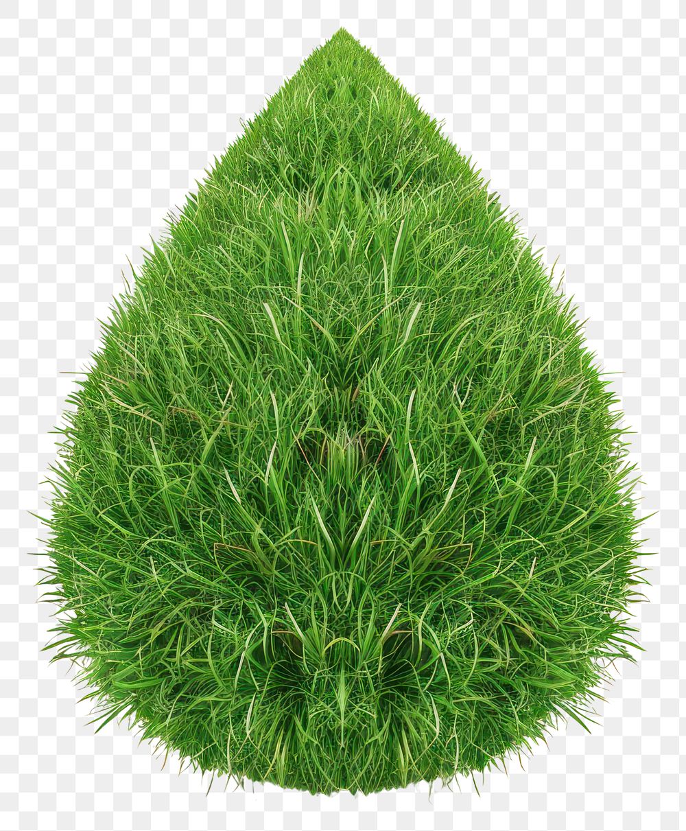 PNG Waterdrop shape lawn grass plant abies.
