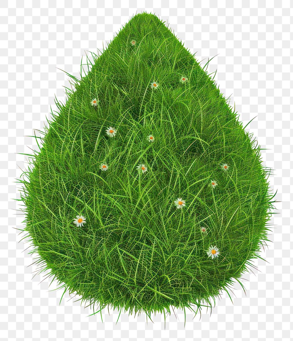 PNG Waterdrop shape lawn flower grass green.