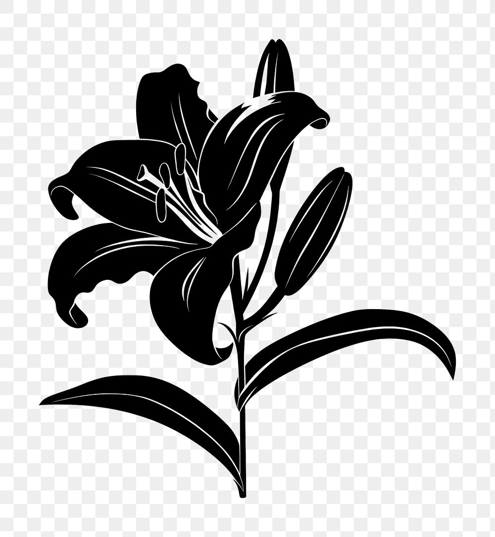 PNG Lily silhouette chandelier blossom flower.