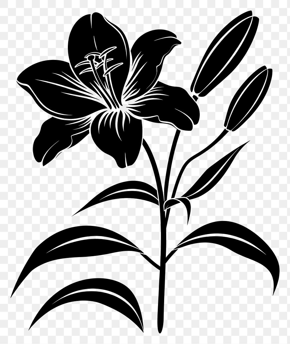 PNG Lily silhouette stencil blossom flower.