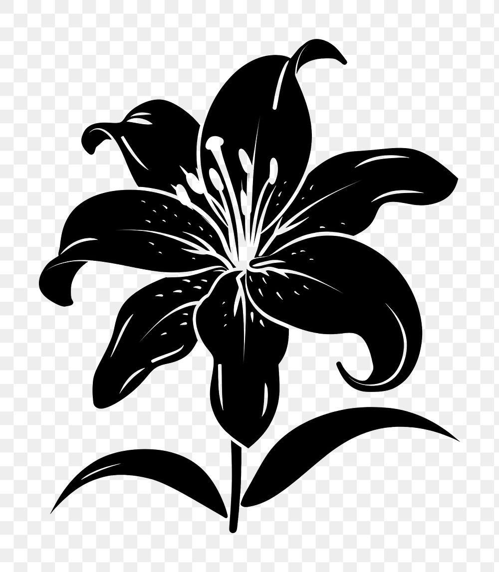 PNG Lily silhouette blossom stencil flower.
