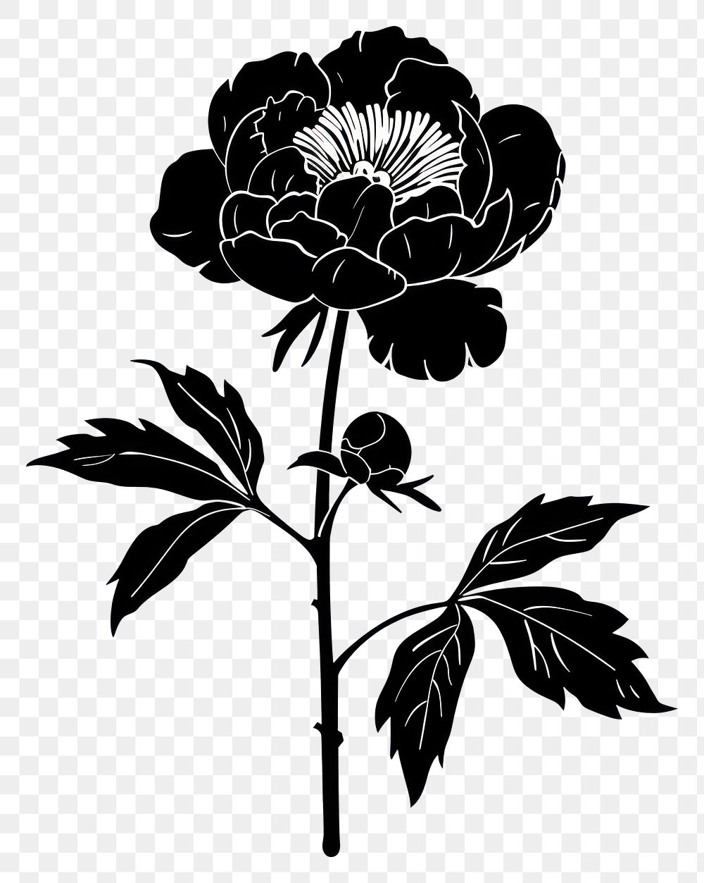 PNG Peony silhouette art illustrated stencil.