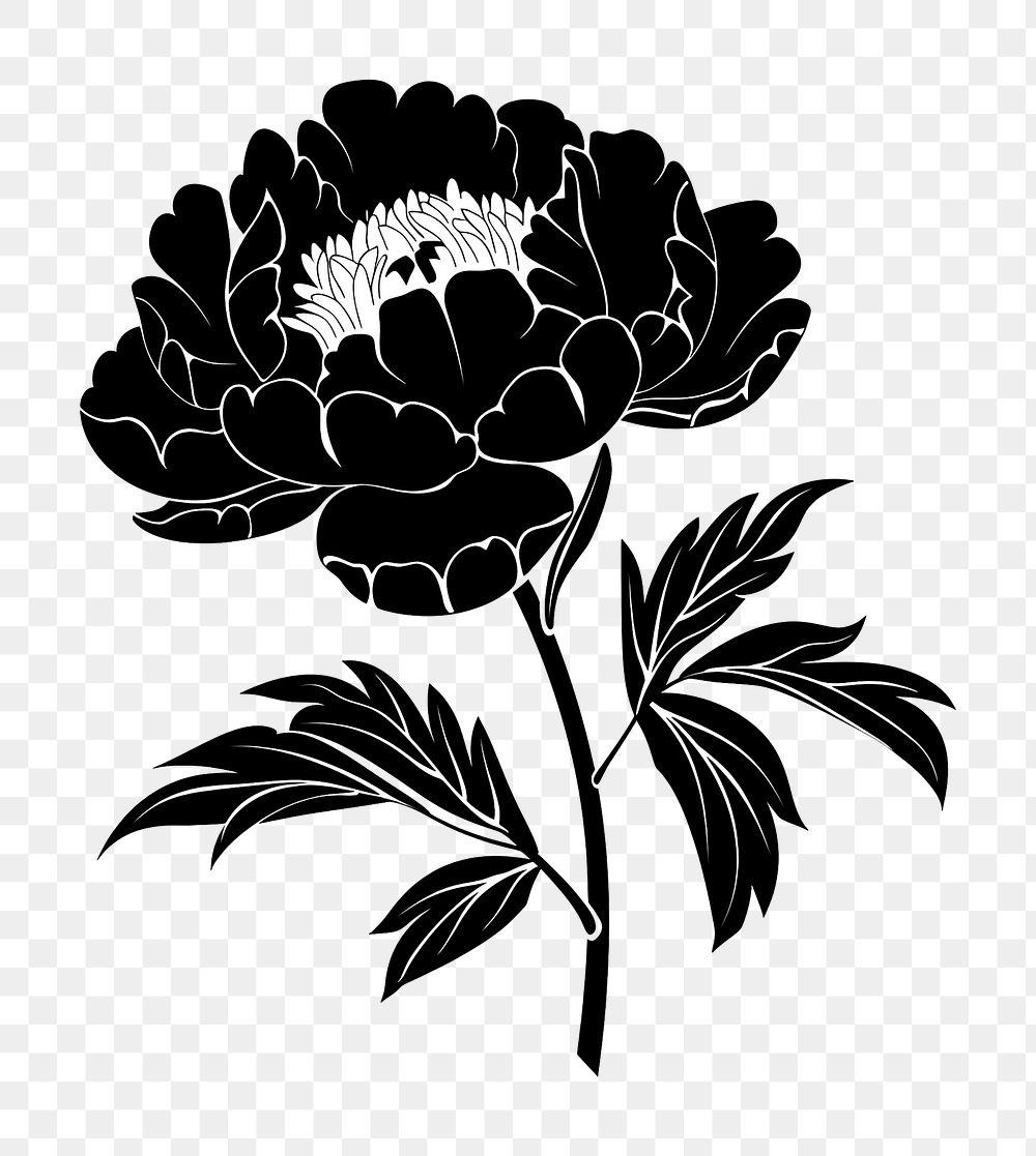 PNG Peony silhouette art illustrated graphics.
