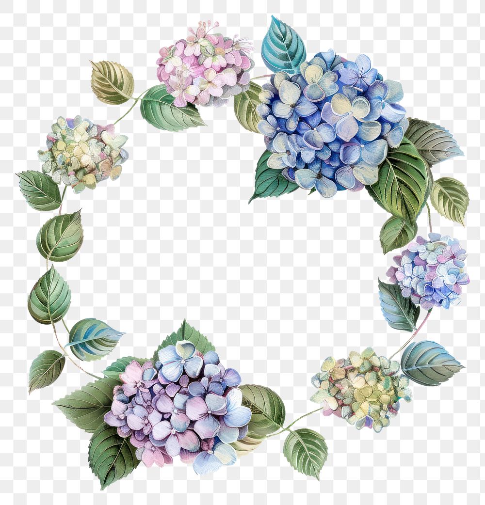 PNG Hydrangea circle frame watercolor wreath plant leaf.