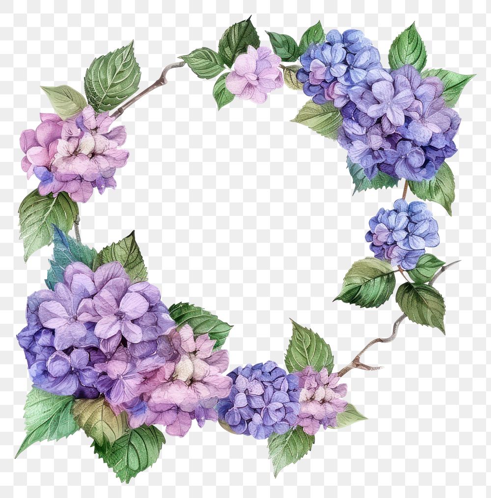 PNG Hydrangea circle frame watercolor flower wreath purple.