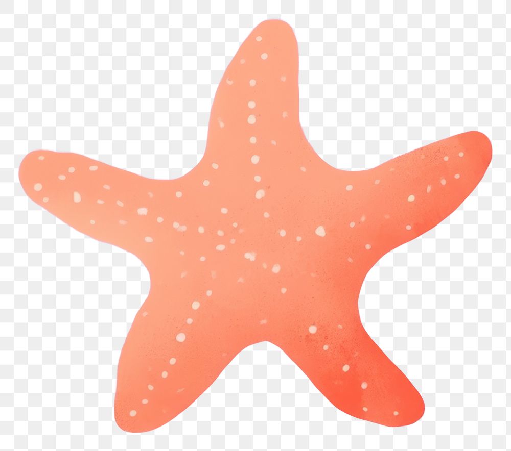PNG Starfish shape invertebrate underwater.