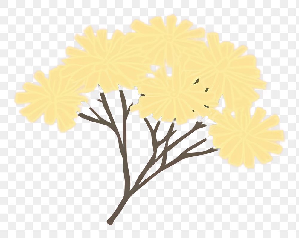 PNG Chrysanthemums graphics drawing pattern.