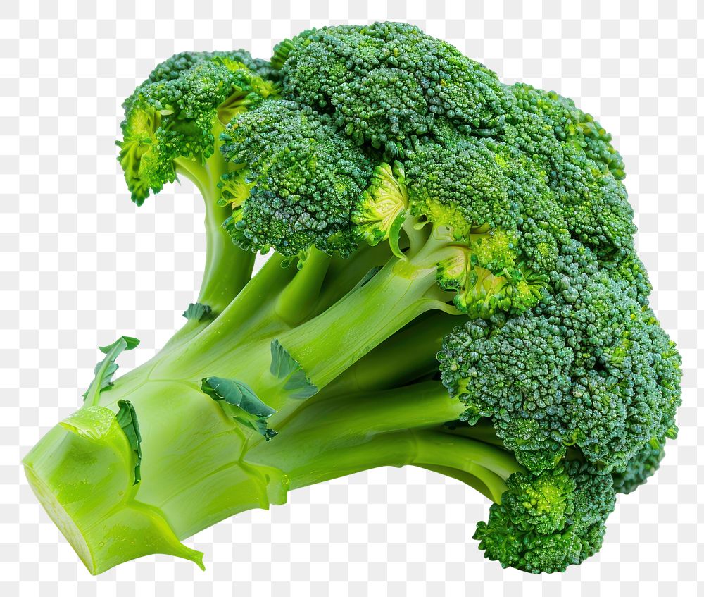 PNG Broccoli floret vegetable produce animal