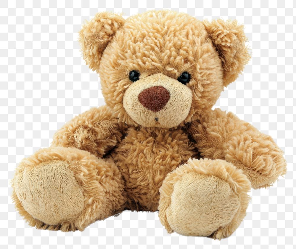 PNG Plush teddy bear toy
