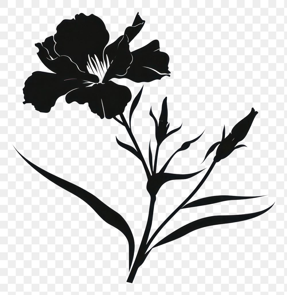 PNG Silhouette stencil blossom flower
