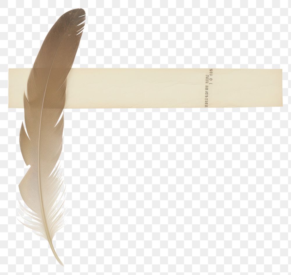 PNG Feather paper white background lightweight.