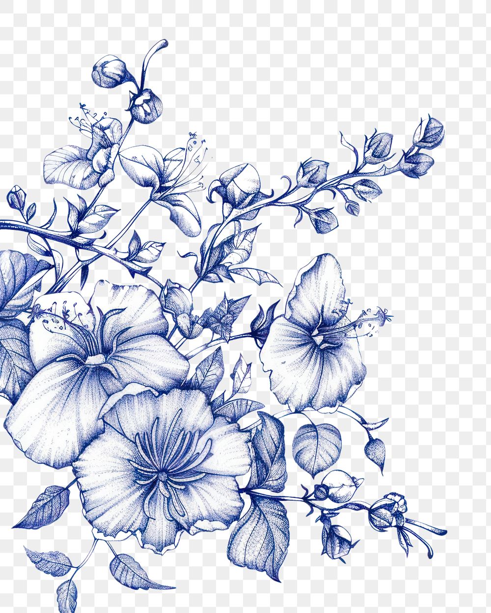 PNG Vintage drawing jasmine sketch pattern flower