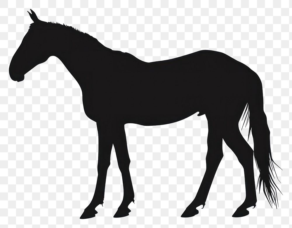 PNG A horse silhouette clip art animal mammal white background.