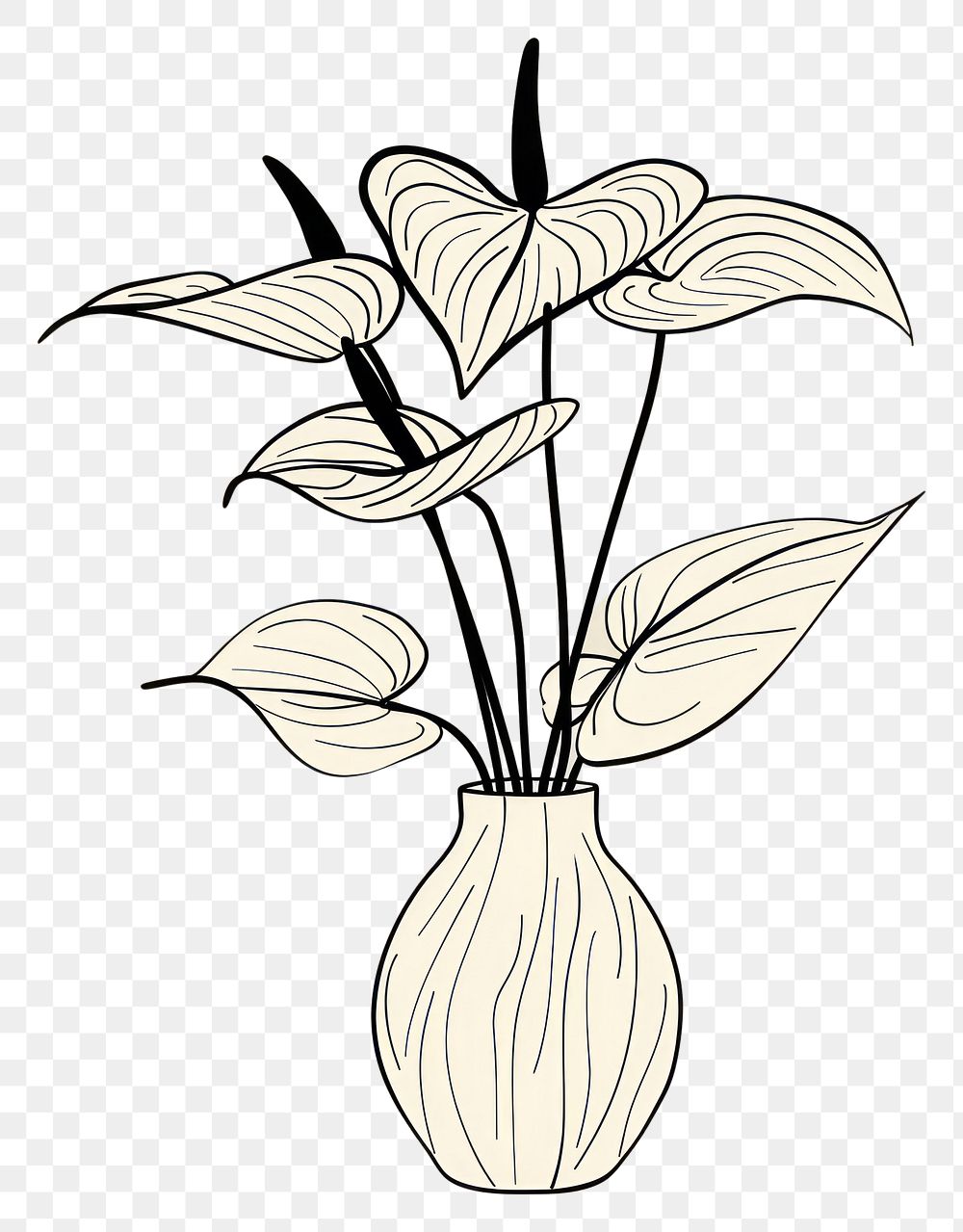 PNG Anthurium flower vase sketch drawing plant.