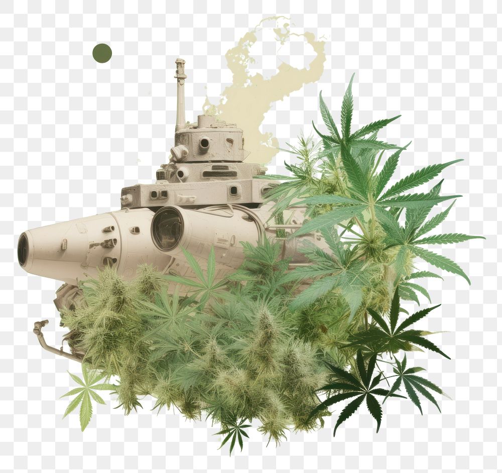 PNG Cannabis business transportation basketball military.