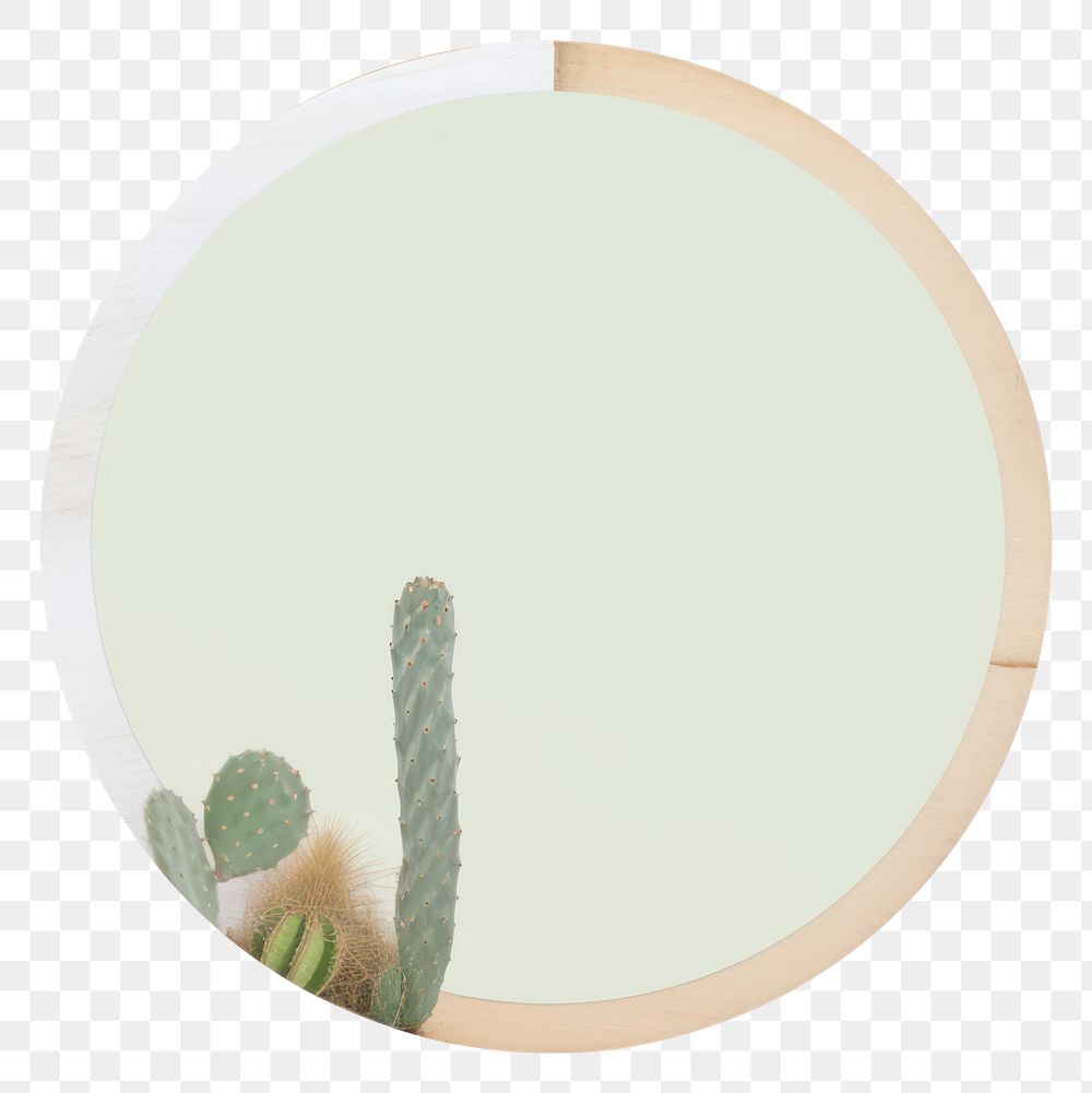 PNG Abstract cactus plant disk.