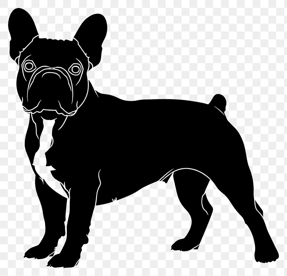 PNG Bulldog french bulldog animal canine.