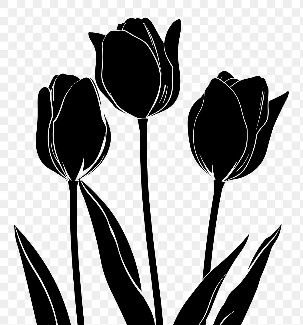 PNG Tulip art weaponry blossom.