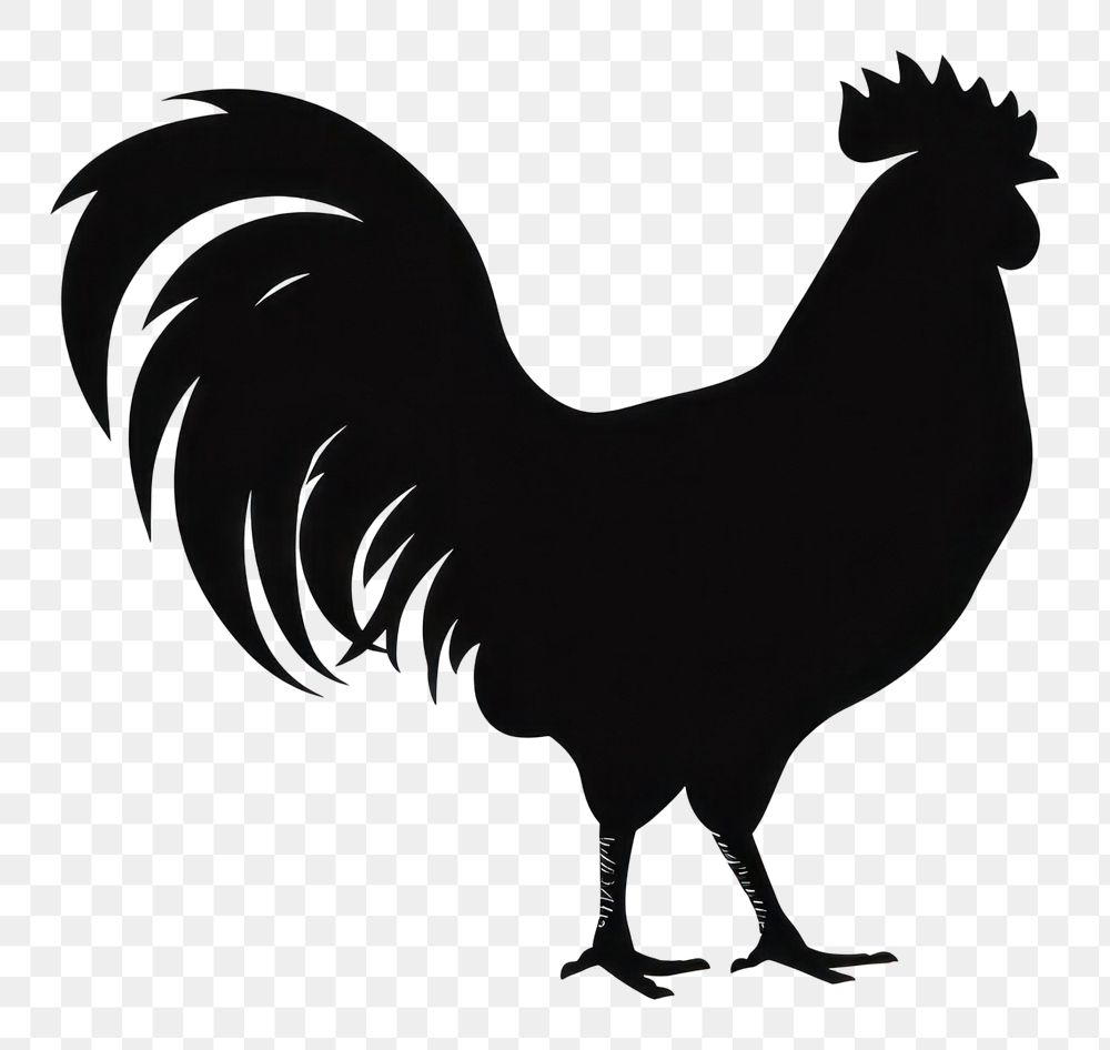 PNG Chicken silhouette chicken poultry.