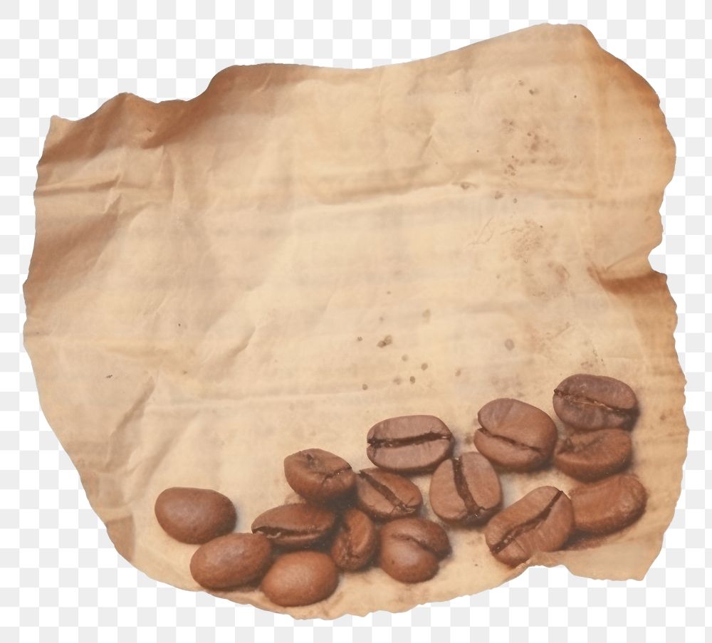PNG Coffee beans ripped paper backgrounds white background freshness.