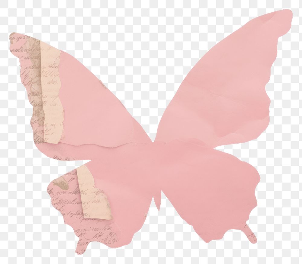 PNG Pink butterfly shape ripped paper petal white background accessories.