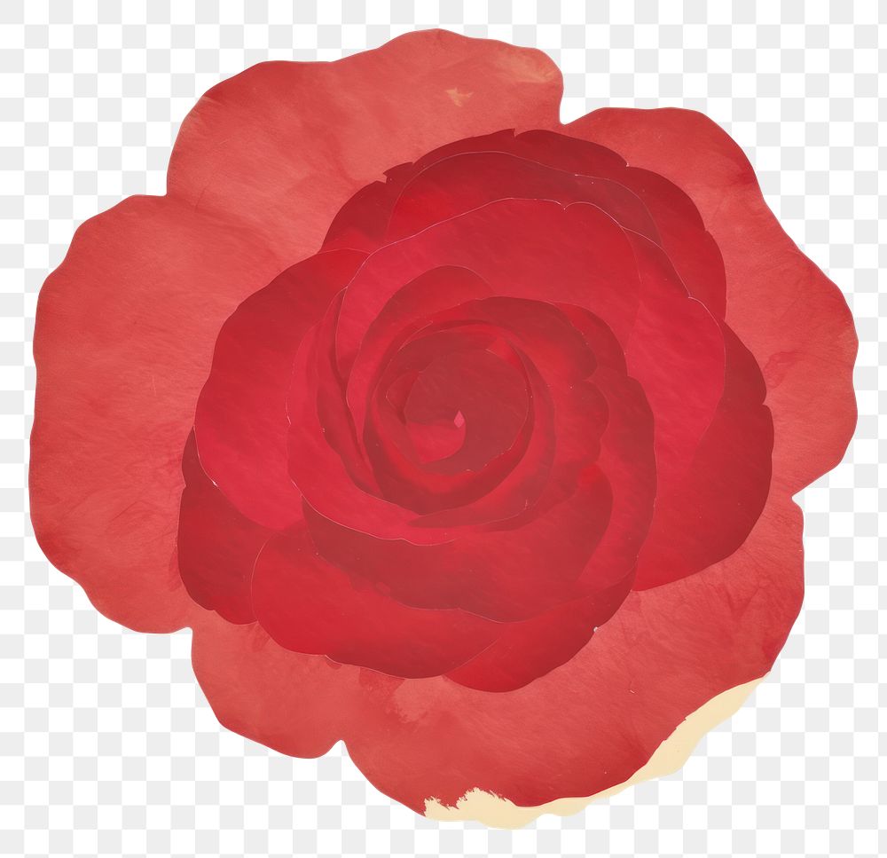 PNG Red rose shape ripped paper flower petal plant.