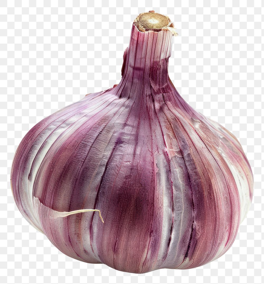 PNG Photo of a garlic vegetable produce plant