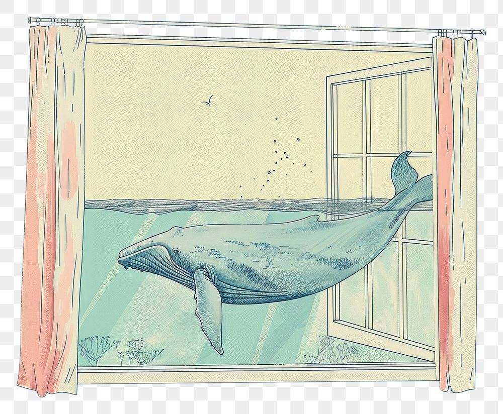 PNG Drawing whale animal window sketch.