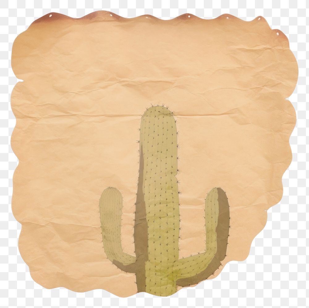 PNG Cactus shape ripped paper plant white background rectangle.