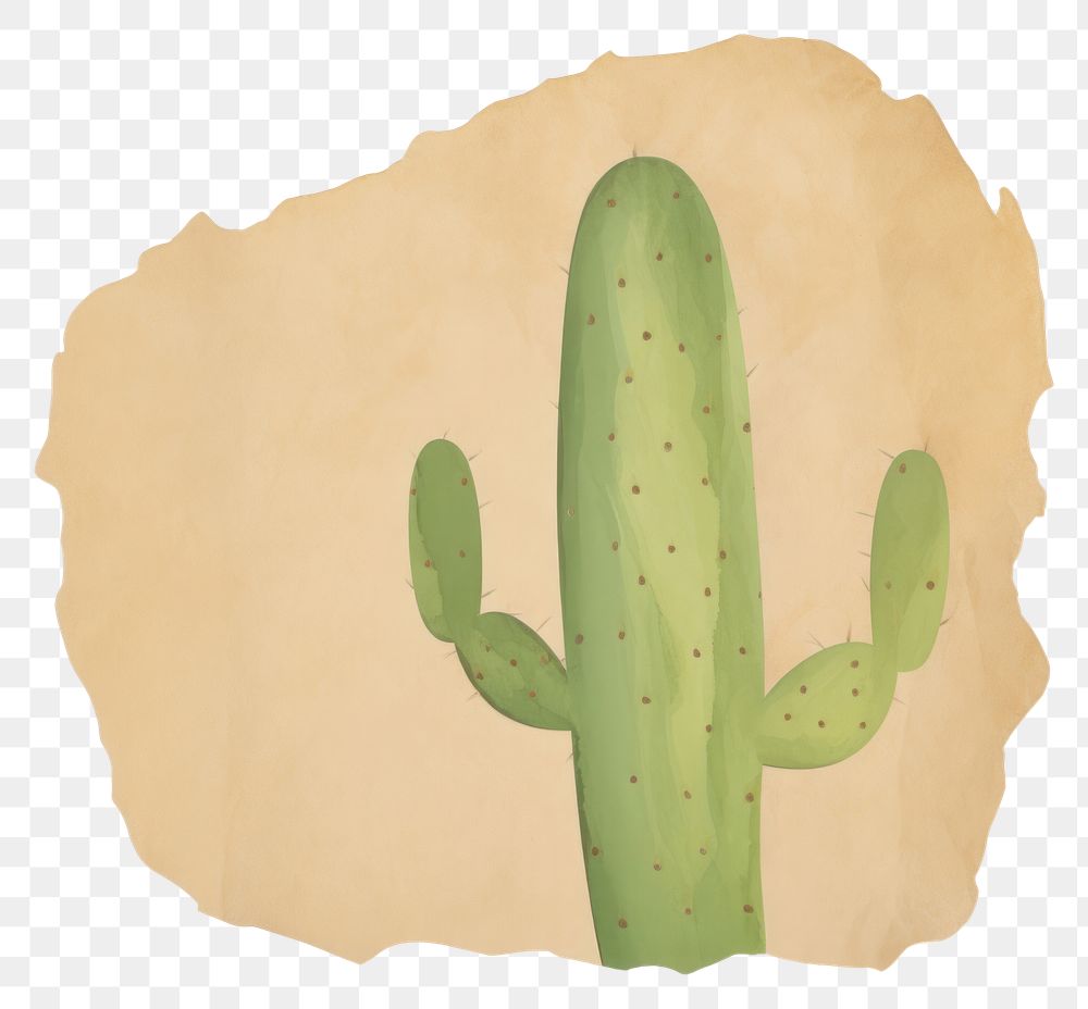 PNG Cactus shape ripped paper plant white background creativity.