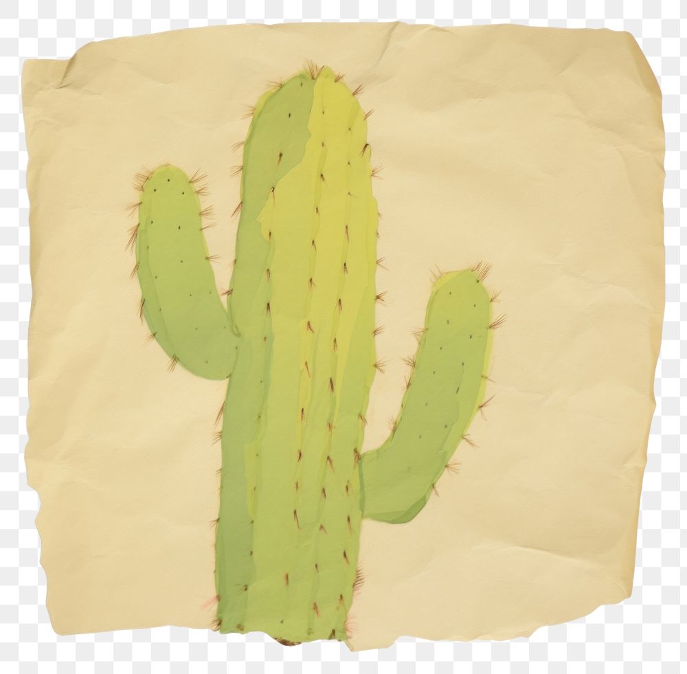 PNG Cactus ripped paper backgrounds plant white background.