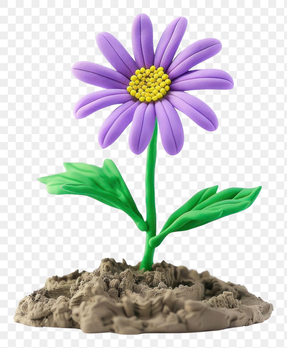 PNG Cute Plasticine clay 3d of aster flower blossom petal plant.