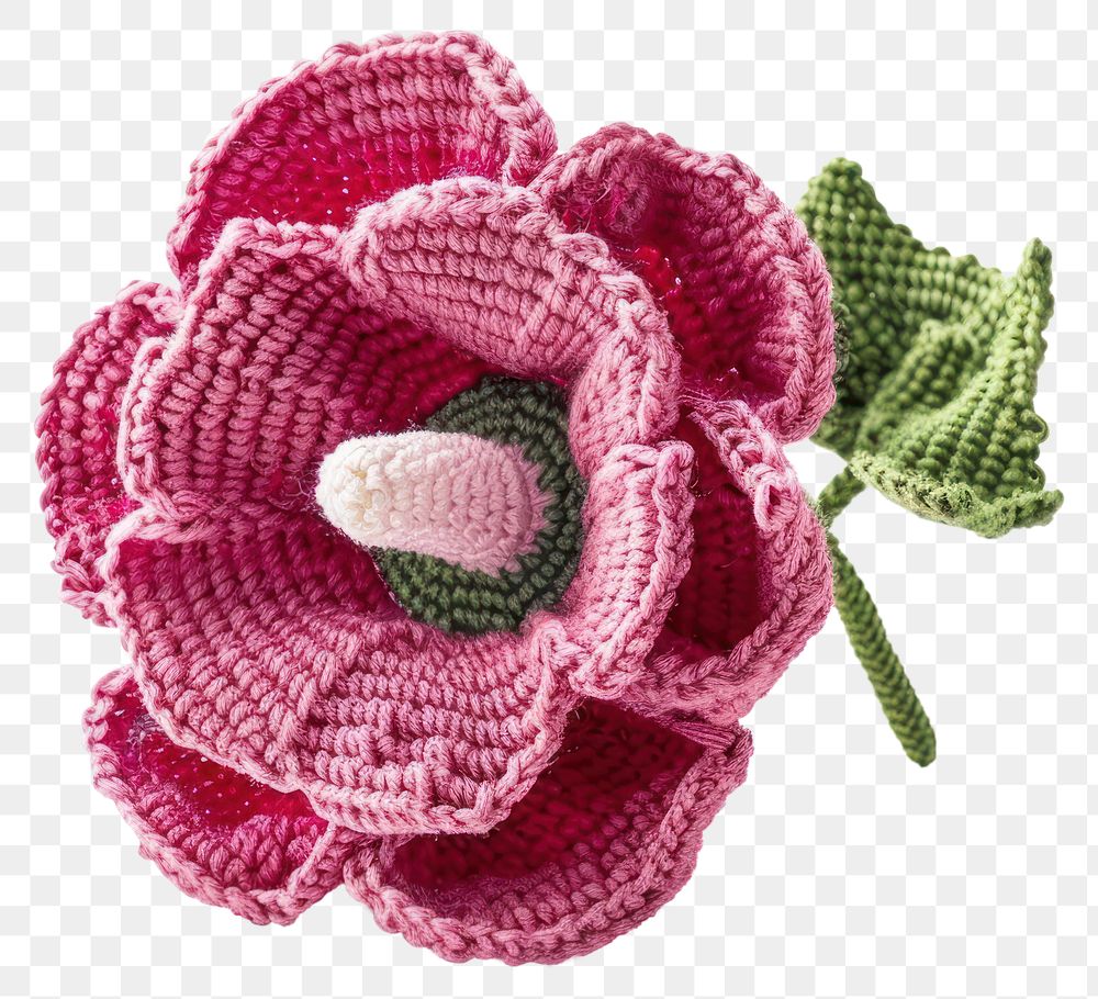 PNG Amigurumi of a hollyhock flower accessories accessory clothing.