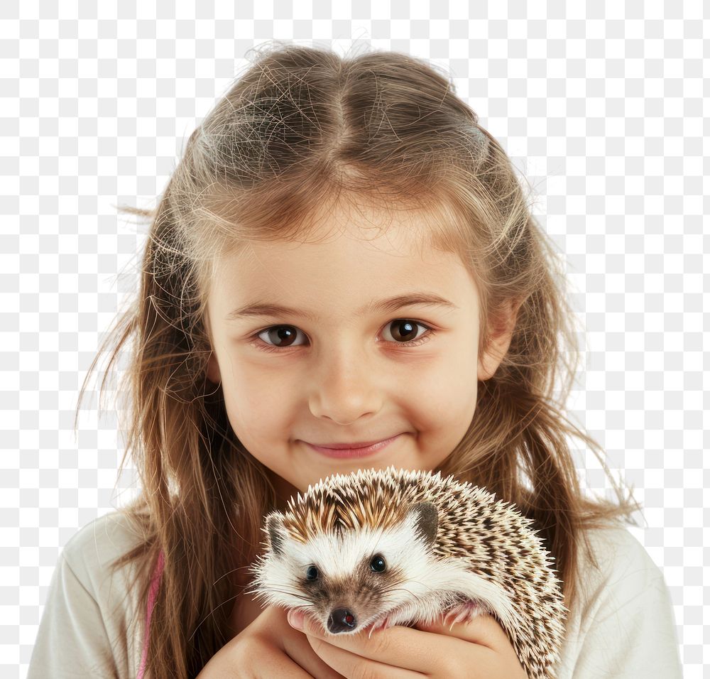 PNG Girl holding a hedgehog animal mammal child.