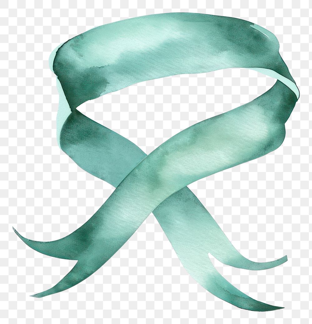 PNG Ribbon mild turquoise individual border white background accessories accessory.