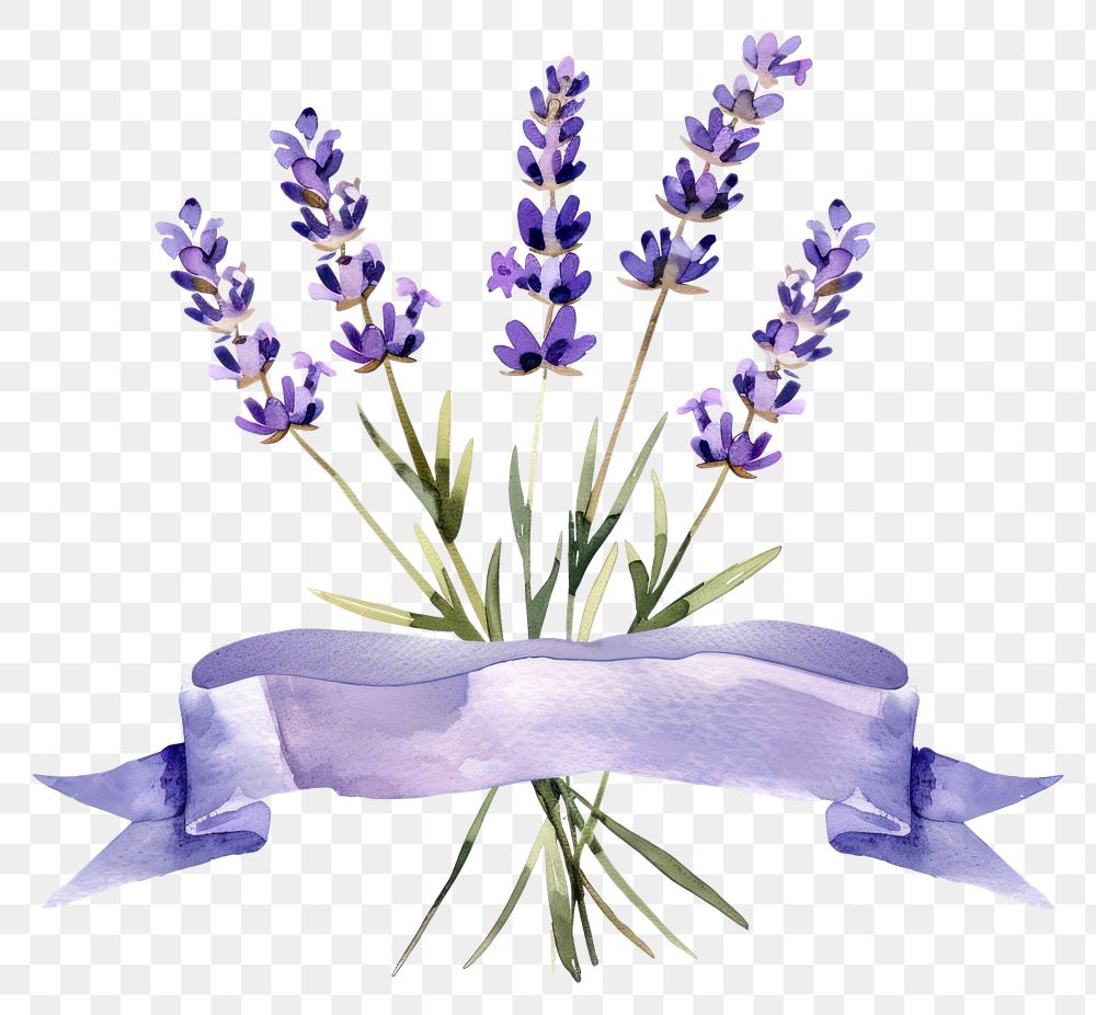 PNG Ribbon with lavender border blossom flower purple