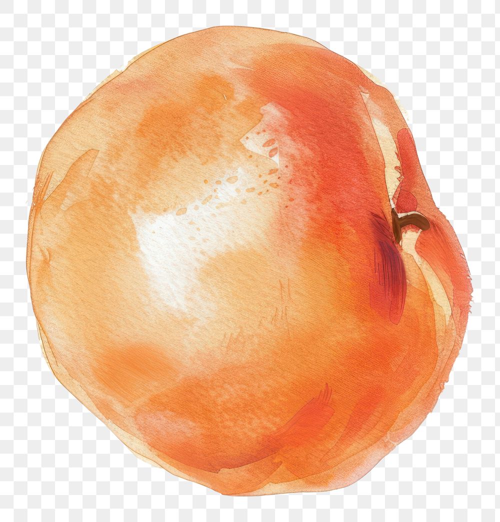 PNG Peach food white background freshness.