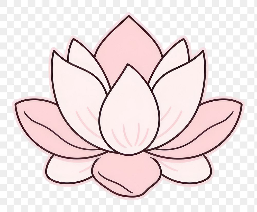 PNG Pink lotus flower petal line.