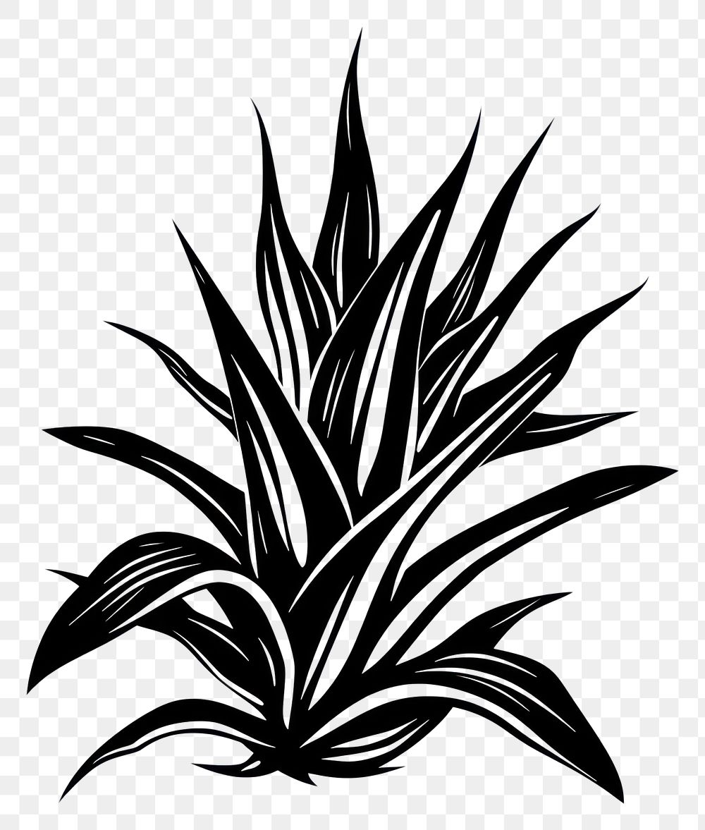 PNG Plant black white background monochrome.
