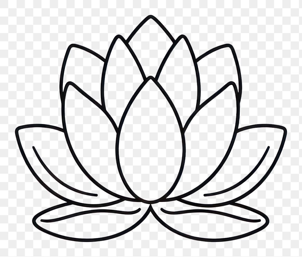 PNG White lotus flower lily line.