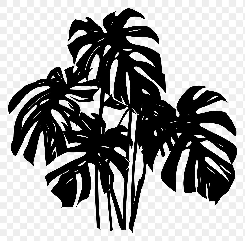 PNG Tropical plant silhouette clip art white background monochrome arecaceae.