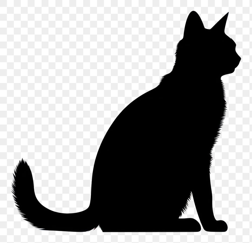 PNG Cat silhouette clip art animal mammal pet.