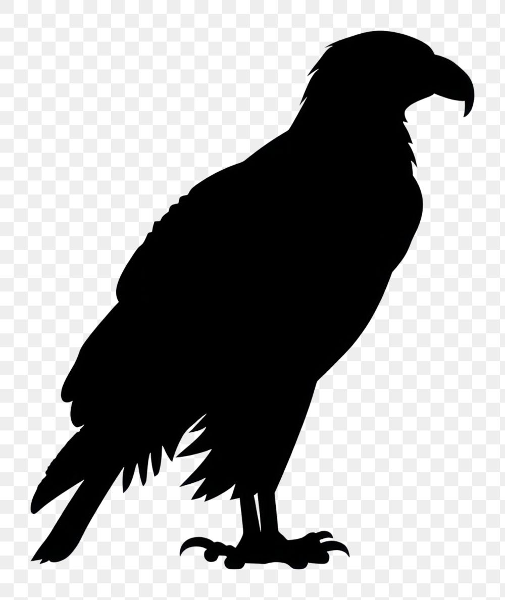PNG Eagle silhouette clip art vulture animal bird.