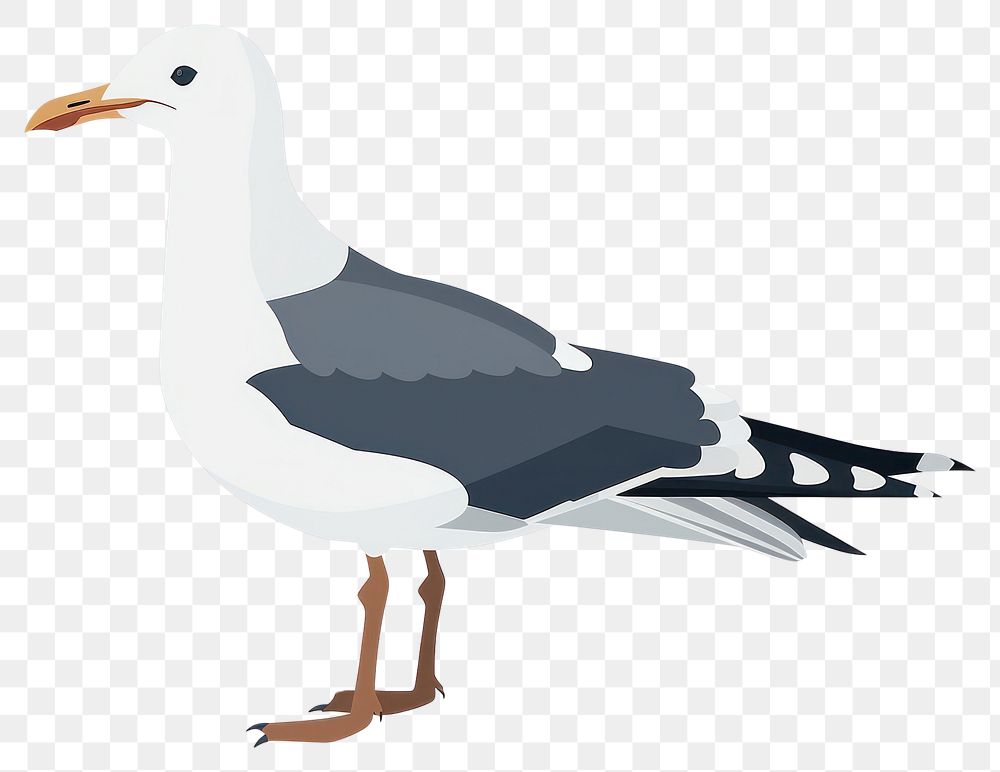 PNG Seagull bird silhouette clip art animal beak white background.