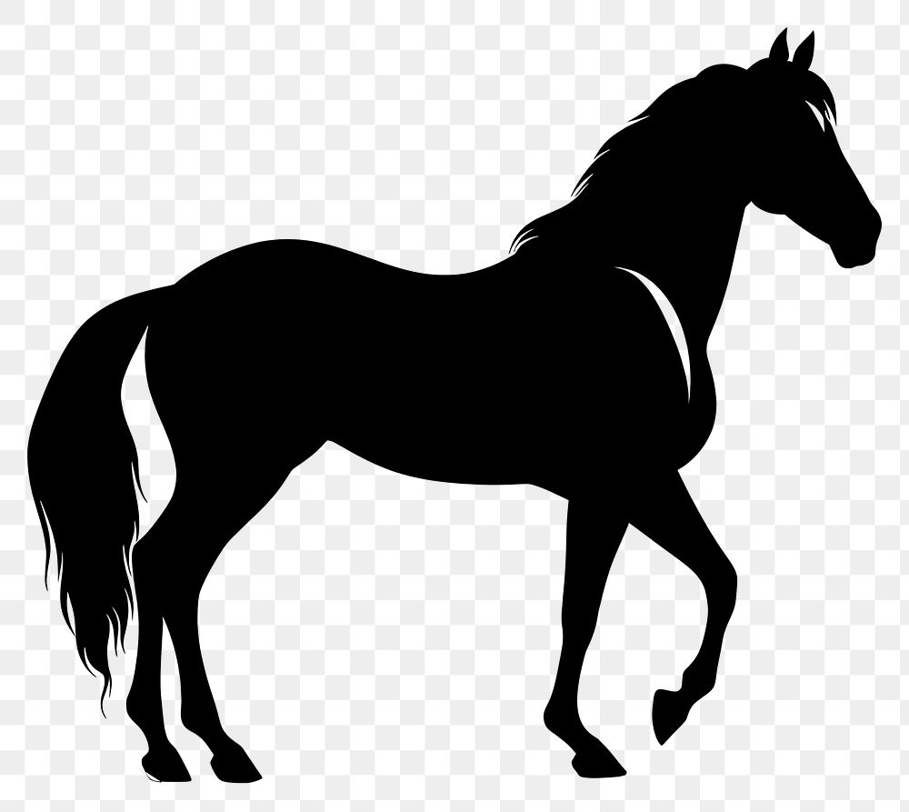 PNG Horse silhouette animal mammal. | Free PNG - rawpixel