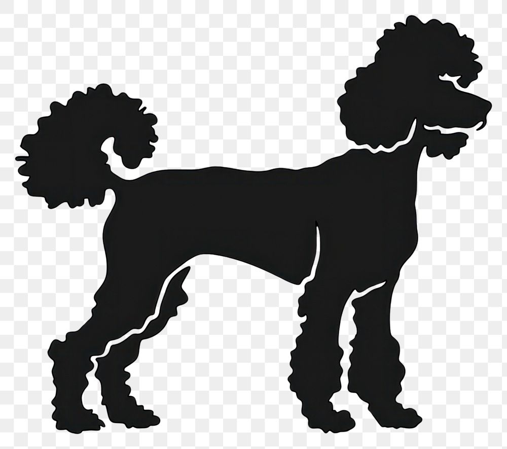 PNG Poodle dog silhouette clip art mammal animal black.