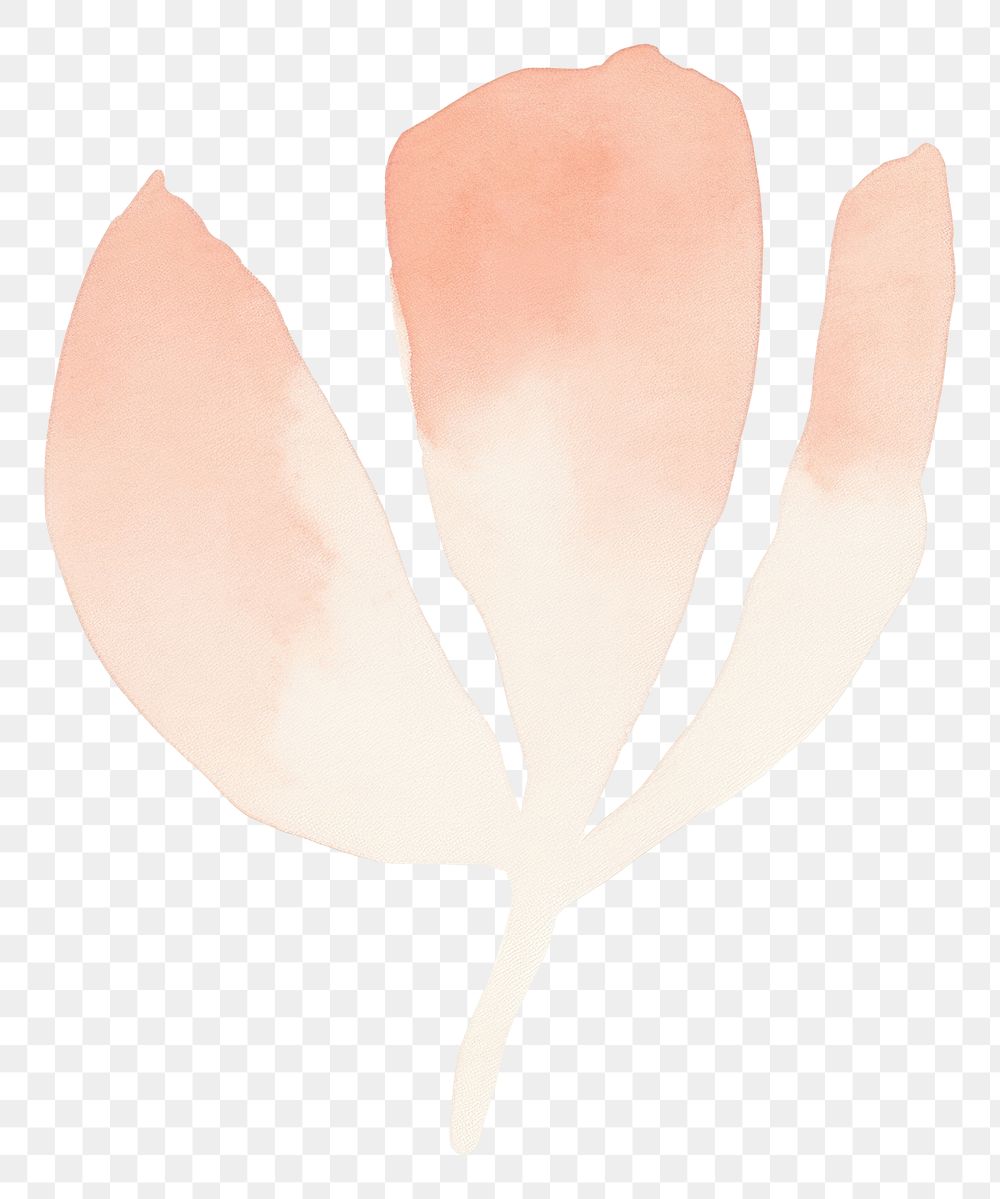 PNG Watercolor abstract tulip petal plant leaf.