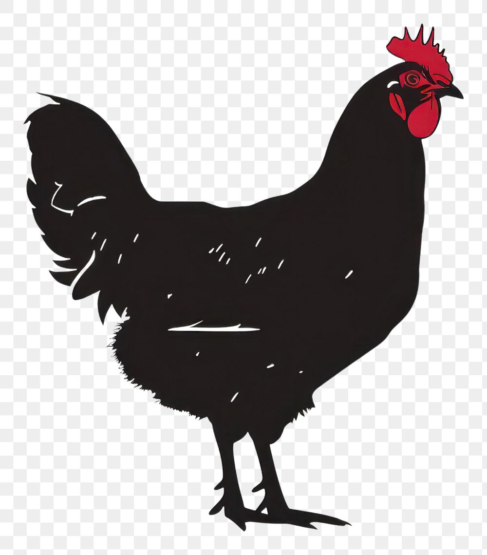 PNG Chicken silhouette clip art poultry rooster animal.