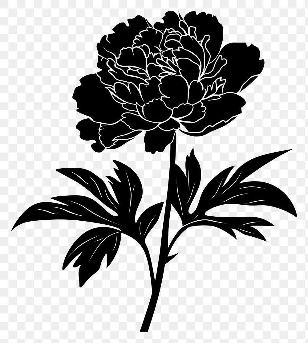 PNG Peony silhouette clip art illustrated stencil blossom.