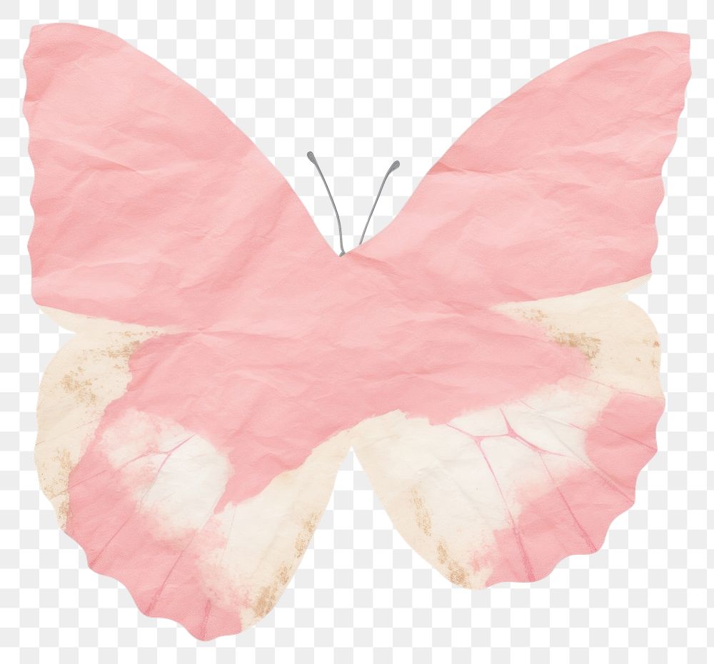 PNG Butterfly shape ripped paper blossom flower diaper.